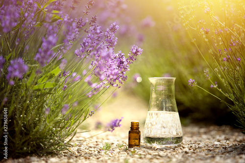 Obraz na plátně Aromatherapy oil and lavender flowers