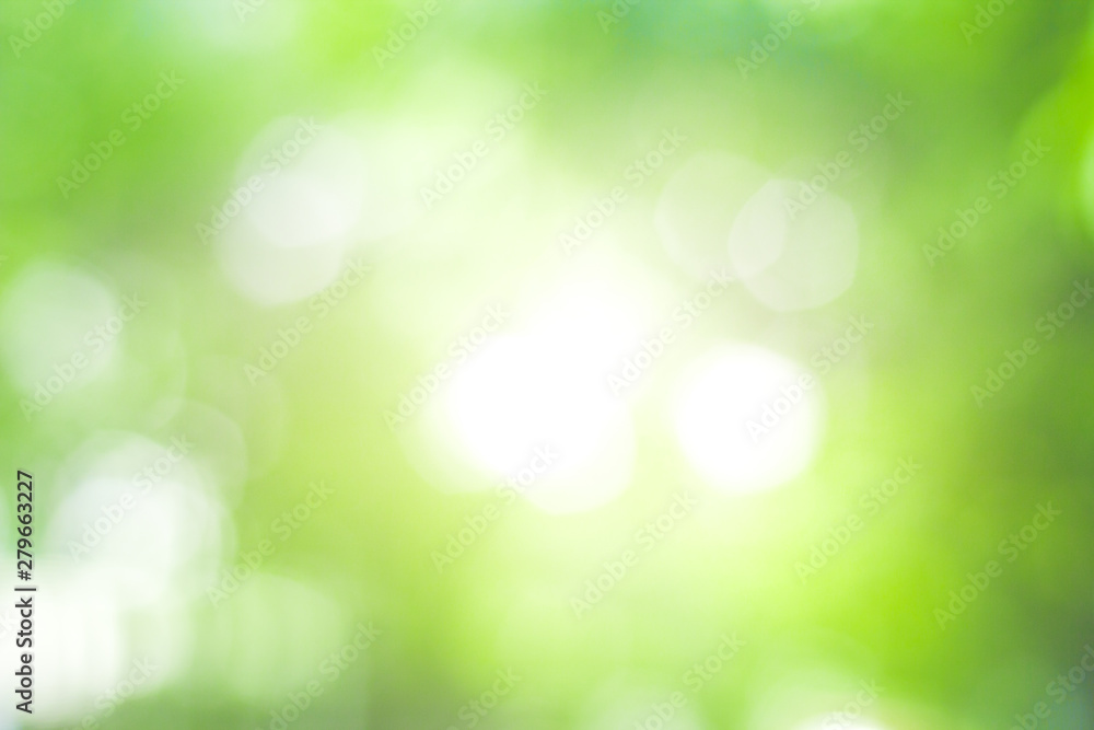 Obraz premium abstract green nature blur background and sunlight