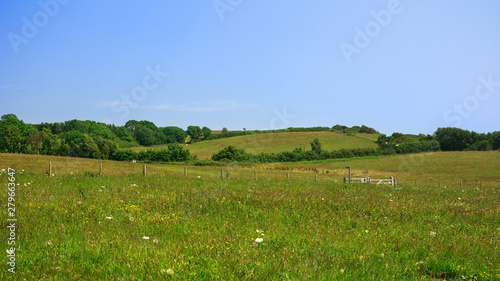 English countryside  green summer meadow on hill