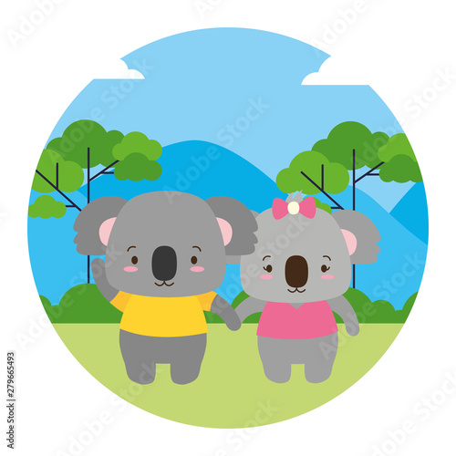 Photography cute couple koalas animal landscape natural