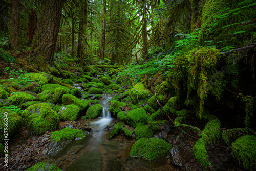 A beautiful mountainous stream deep inside the Mount Hood wilderness. © rexjones