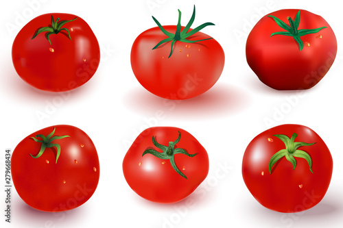 Set of vector images of red tomatoes in the style of realism. Six ripe tomatoes on a white background with shadow, highlights, water drops and green leaves. Elements for food design.
