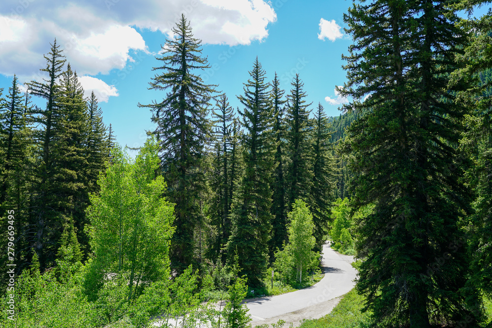 Pathway in the mountains east of Salt Lake City, Utah Pathway in the mountains east of Salt Lake City, Utah