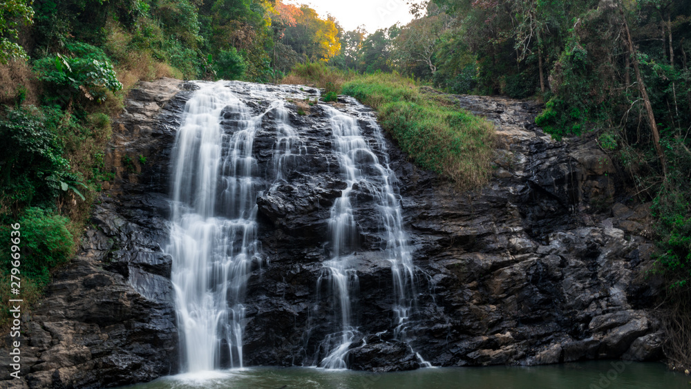 Fototapeta premium waterfall in the forest