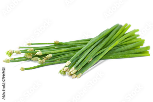 Chives flower or Chinese Chive isolated cut out on white background