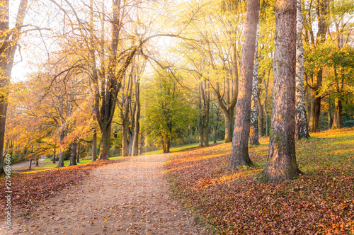 Autumn landscape  Park alley surrounded with yellow and green trees and fallen leaves. Sunlight comes through branches with colourful foliage on a warm sunny autumn day. Picturesque background