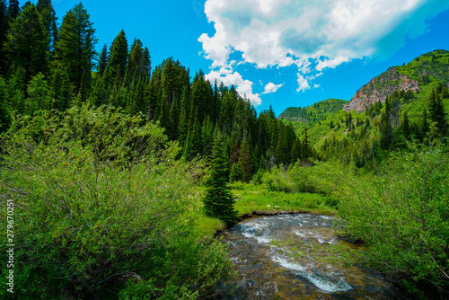 View of a meadow and stream in the mountains east of Salt Lake City, Utah