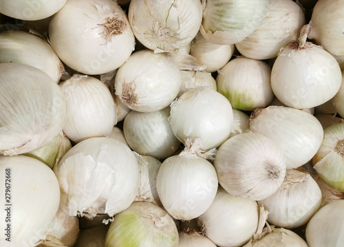 pile of white onion in harvest season