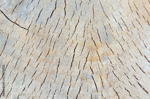wooden background. abstraction