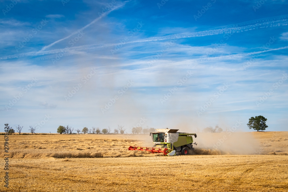 Obraz premium Combine harvester working on agricultural field during harvest season. 