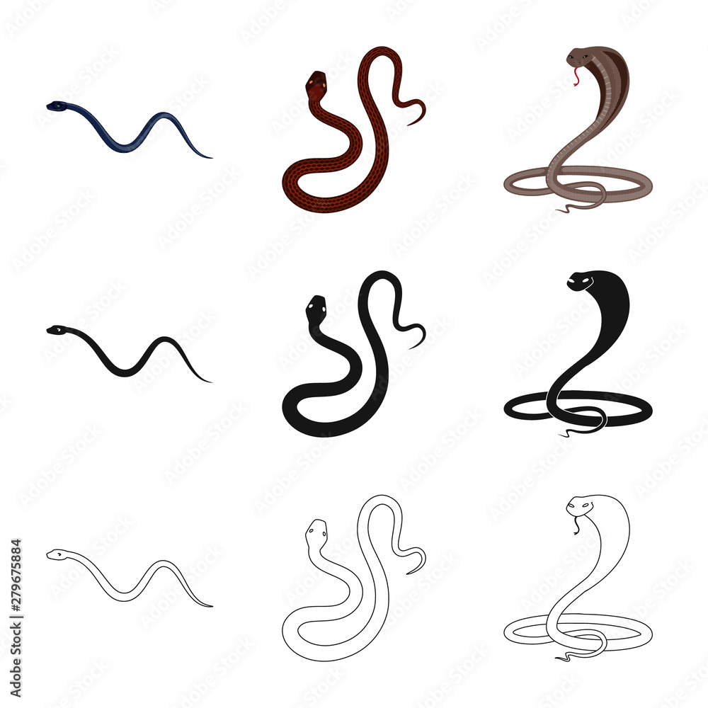 Fototapeta premium Vector illustration of mammal and danger symbol. Collection of mammal and medicine stock vector illustration.