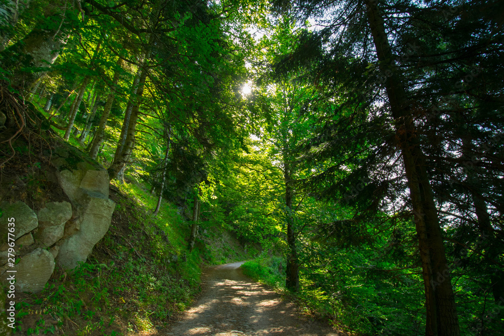 Obraz premium Landschaft am Lac de Schiessrothried in den Vogesen
