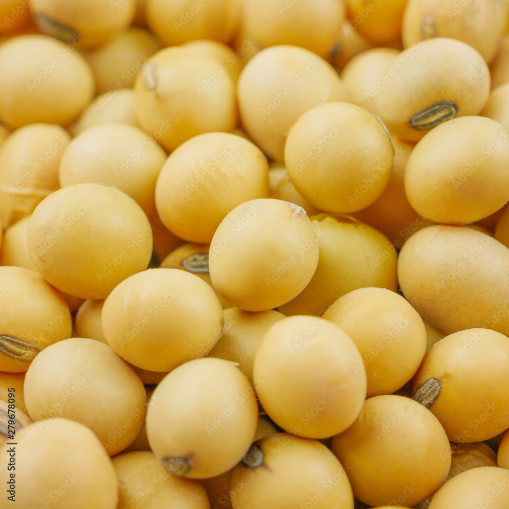 Close up,macro group of soybeans Close up,macro group of soybeans