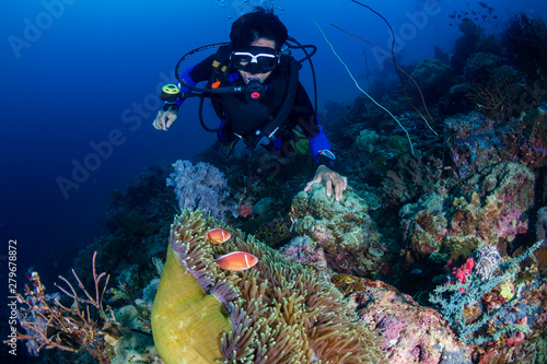 Skunk Clownfish on a tropical coral reef with background SCUBA diver