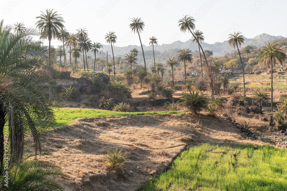 The nature view of Mount Abu area The nature view of Mount Abu area