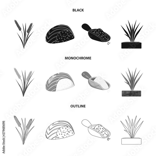 Vector design of crop and ecological sign. Set of crop and cooking stock symbol for web.