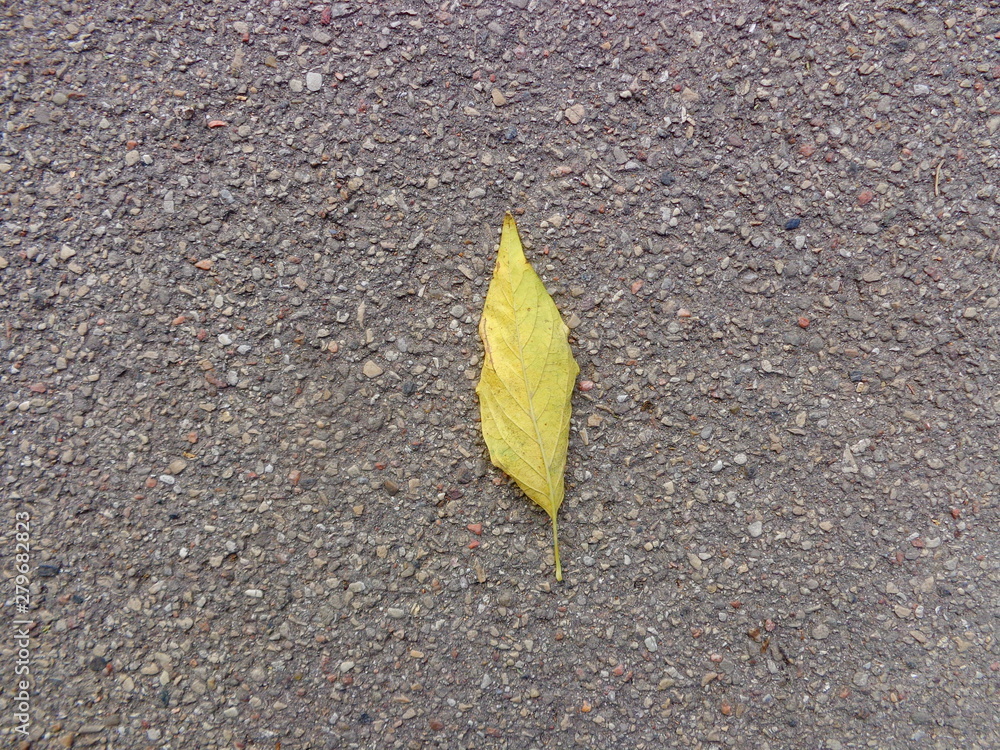 Leaf