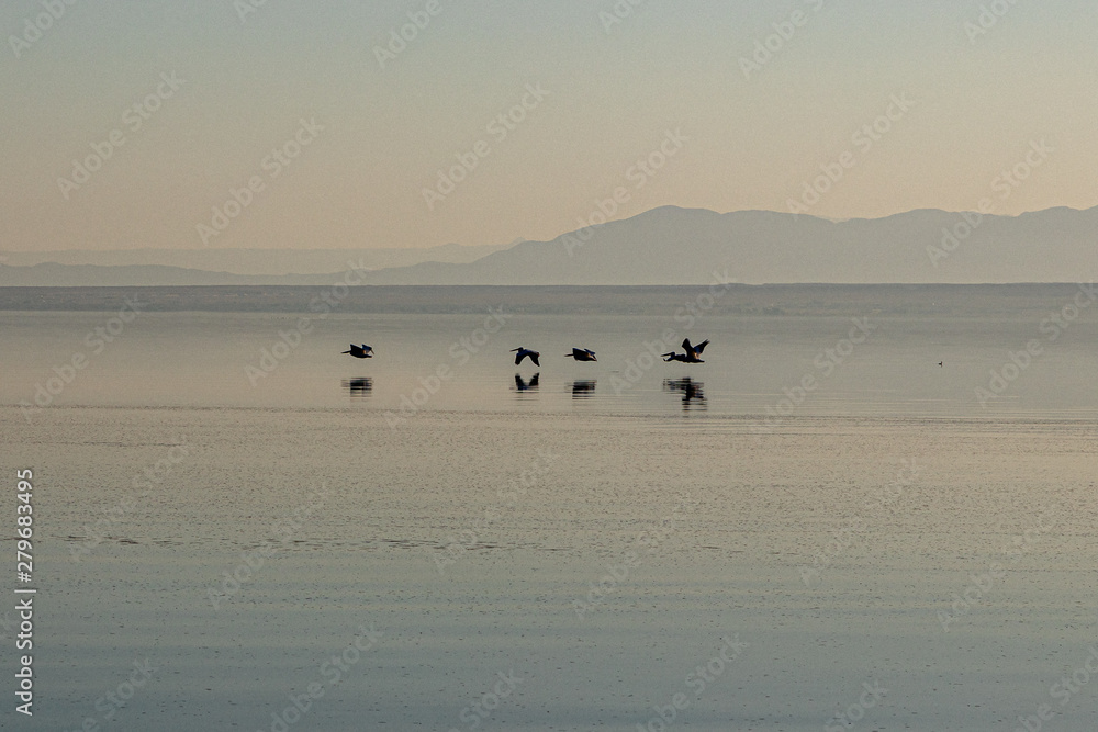 Sunset and Pelicans at the Salton Sea, California