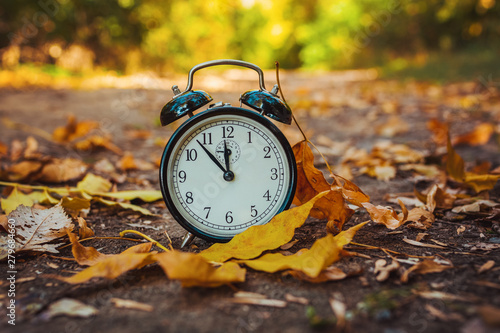 alarm clock on a leafy path in the park