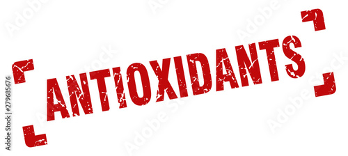 antioxidants stamp. antioxidants square grunge sign. antioxidants