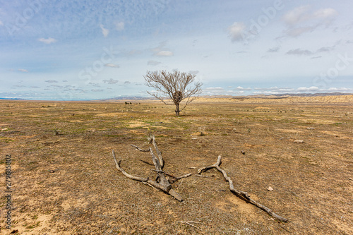 Carrizo Plain, California photo