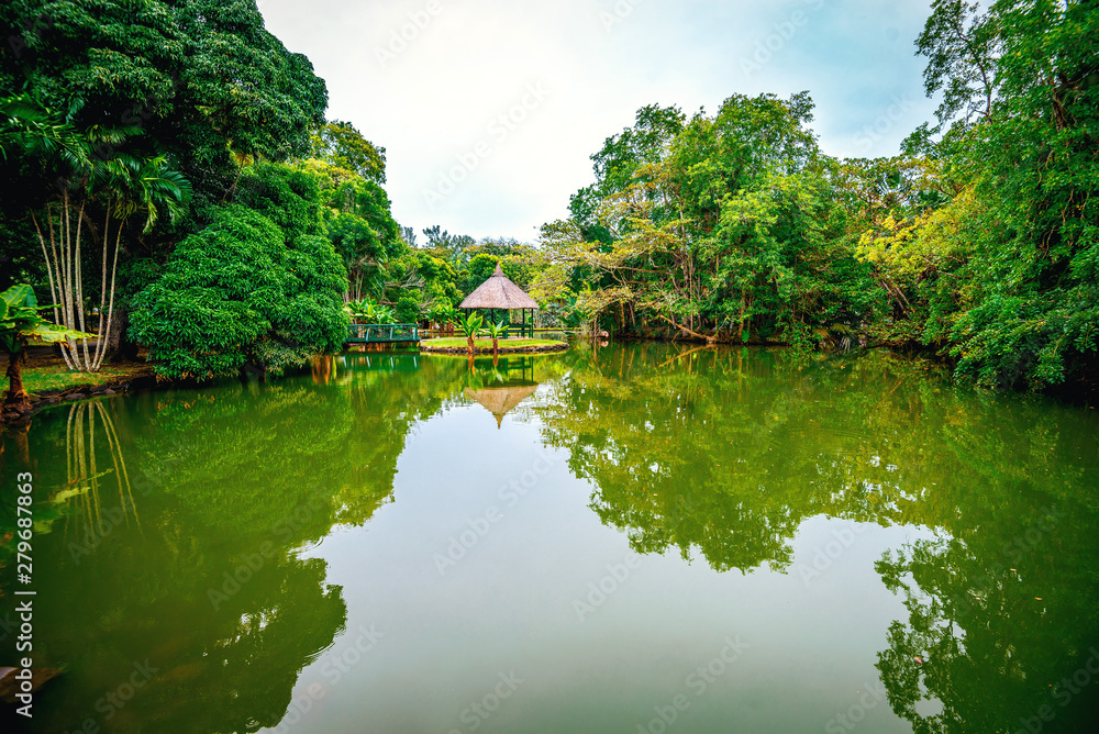 Botanical garden on Mauritius island Botanical garden on Mauritius island
