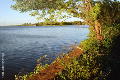 Wetlands in Nature Reserve Esteros del Ibera National Park, Colonia Carlos Pellegrini, Corrientes, Argentina.