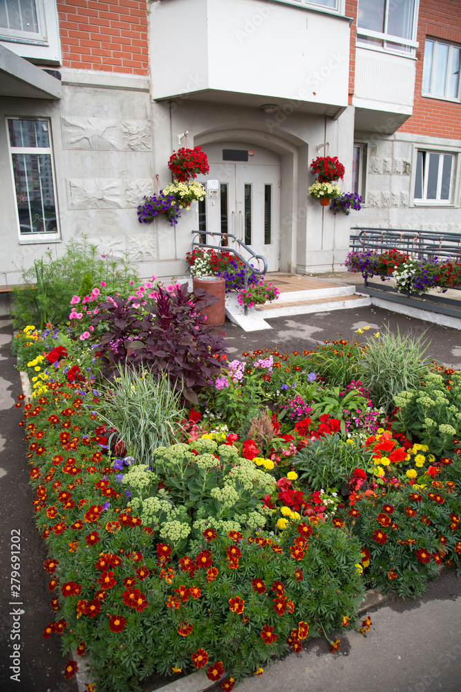 Flowerbed of bright flowers of various plants in front of the house. Agriculture Landscaping greening of cities