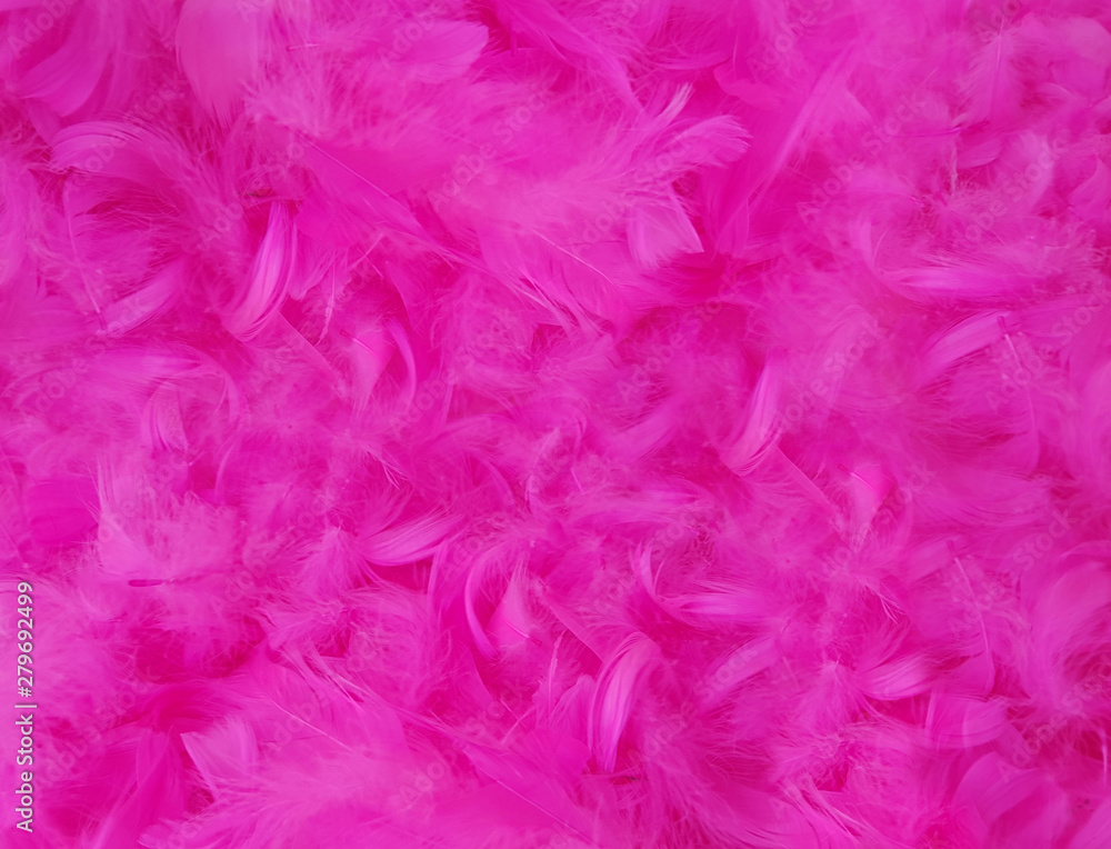 pink feather texture background