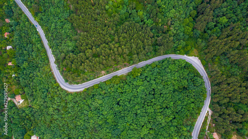 Aerial view of winding road trough the dense woods.