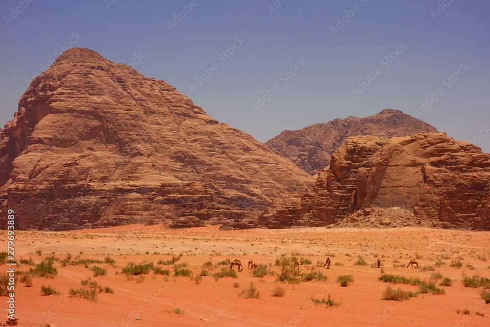 Wadi Rum pustynia