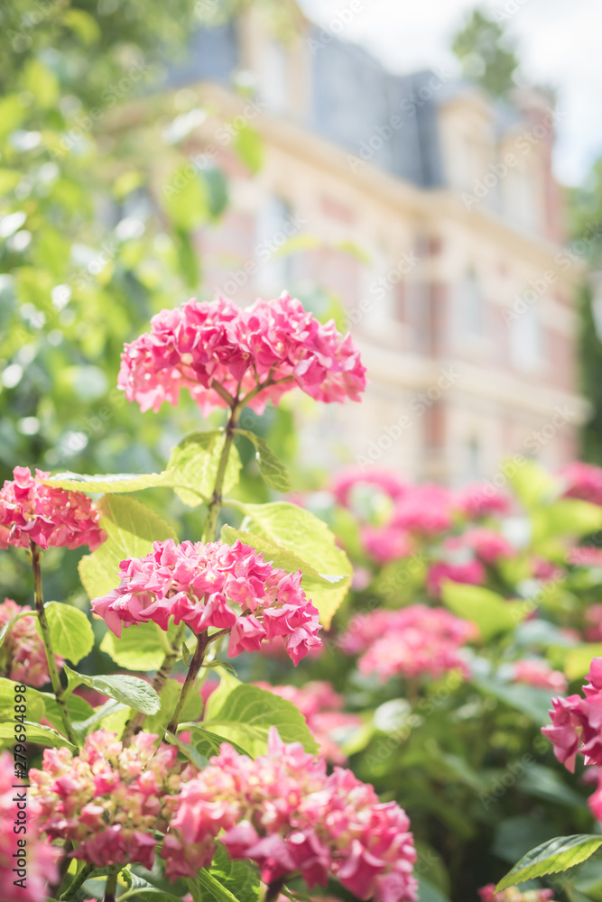 Obraz premium Floral hedge at the foot of an old mansion - Paris, France