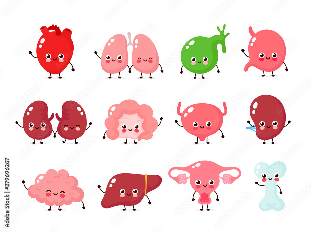 Fototapeta premium Cute happy human healthy strong organs set.