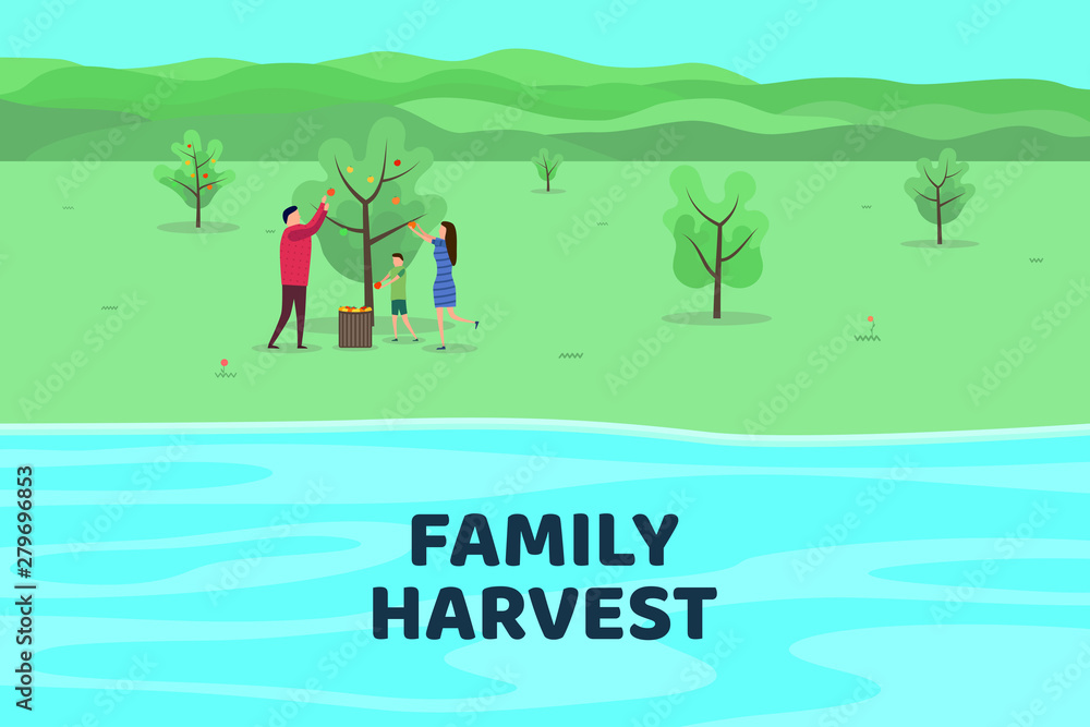 Harvesting people. Vector flat illustration. Family harvests apples. Minimalist design. 