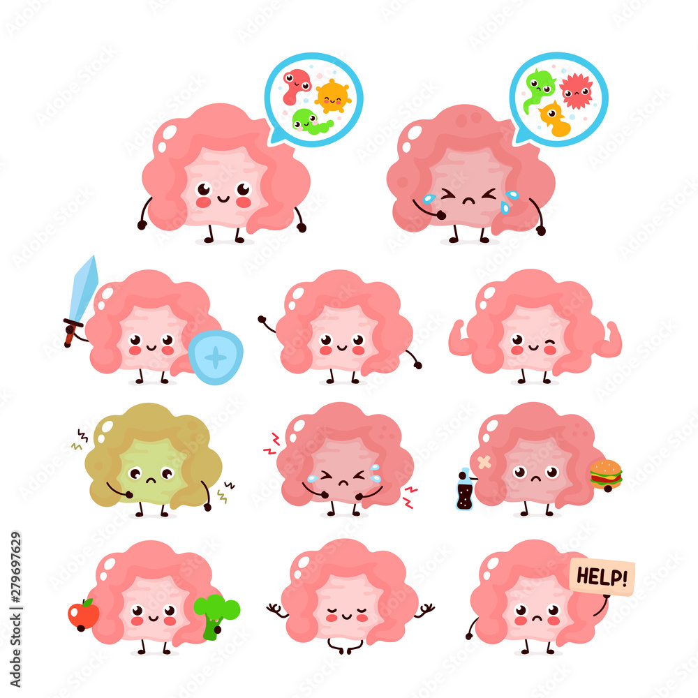 Fototapeta premium Cute intestine. Healthy and unhealthy human organ