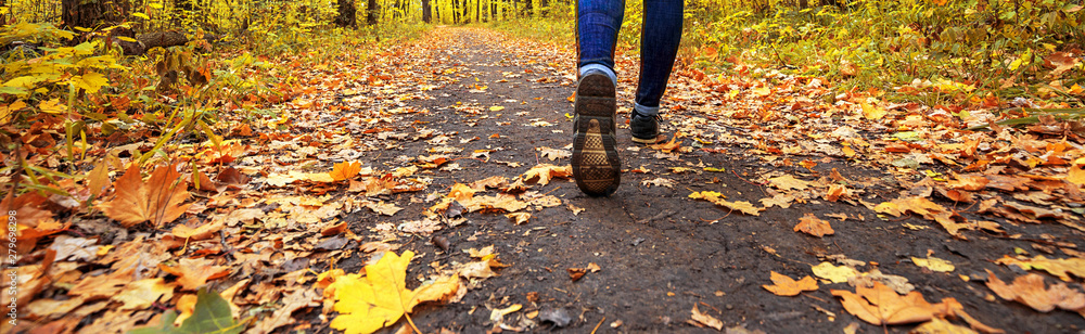 Young girl in jeans and sneakers on his feet, walks through the autumn leaves on the road in the woods in the sunshine outdoors, border design panoramic banner Young girl in jeans and sneakers on his feet, walks through the autumn leaves on the road in the woods in the sunshine outdoors, border design panoramic banner