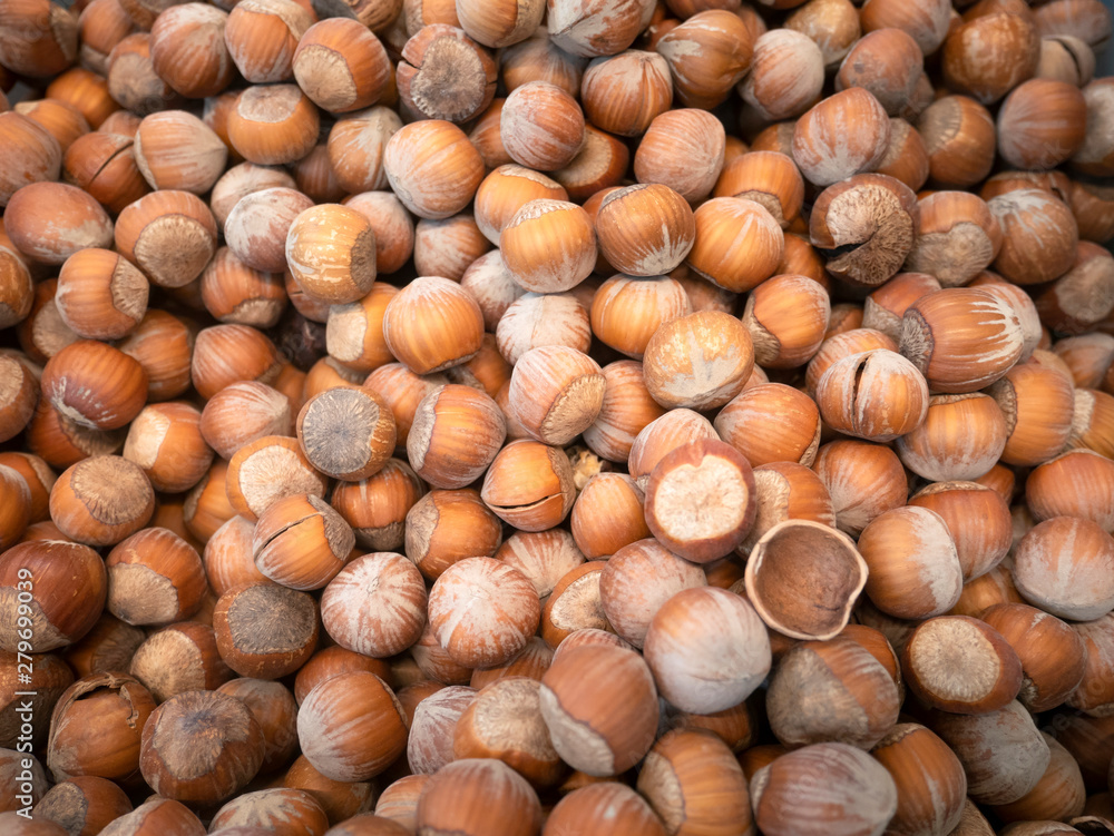 Natural hazelnuts in a large amount, a small blur and vignette.