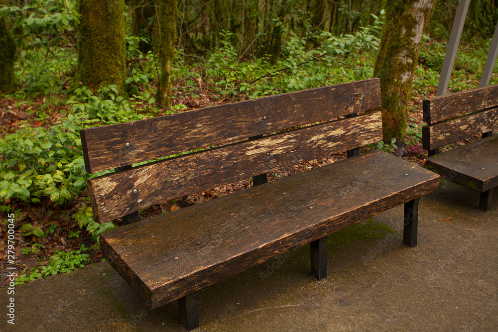wooden bench in a public park in spring at sunset wooden bench in a public park in spring at sunset