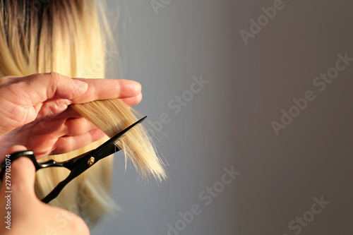 Hairdresser cuts the blonde hair, scissors in female hands close up