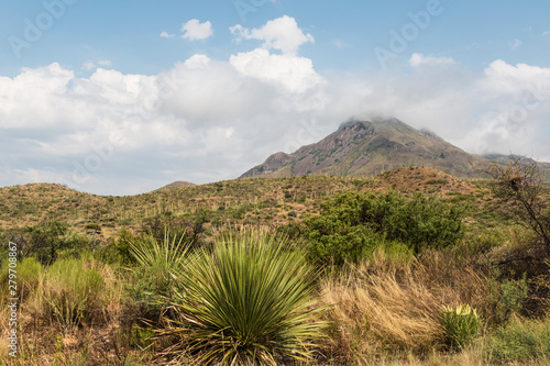 Desert landscape view of Big Bend National Park during the day in Texas.