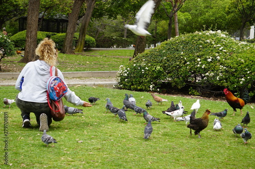 Photography mujer alimentando palomas y gallinas parque la paloma benalmadena malaga