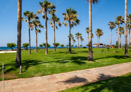 View of palms and beach in Malia on Crete, Greece