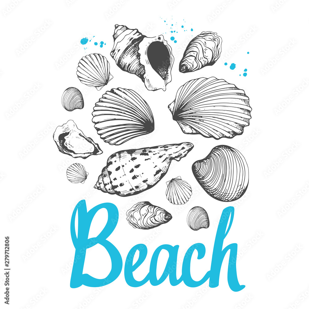 Travel vector illustration with sea shells in sketch style on pink background. Brush calligraphy elements for your design. Handwritten ink lettering.