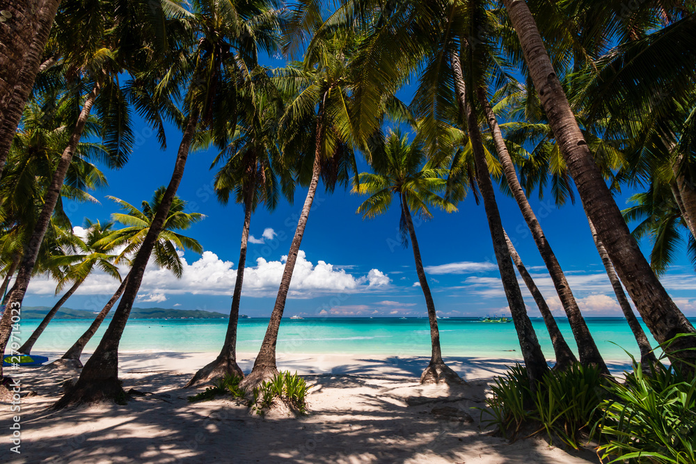 A beautiful tropical sandy beach surrounded by palm trees and warm ocean (White Beach, Boracay)
