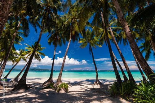 A beautiful tropical sandy beach surrounded by palm trees and warm ocean  White Beach  Boracay 