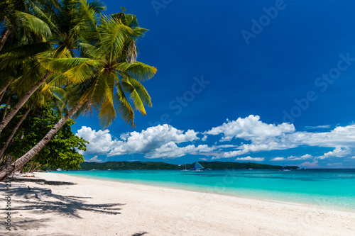 A beautiful tropical beach with palm trees and shallow, clear ocean (White Beach, Boracay) photo
