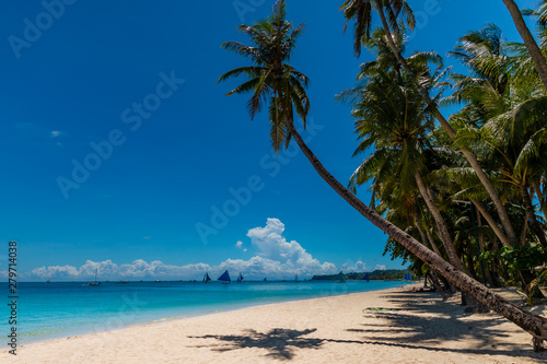 A beautiful tropical beach with palm trees and shallow  clear ocean  White Beach  Boracay 