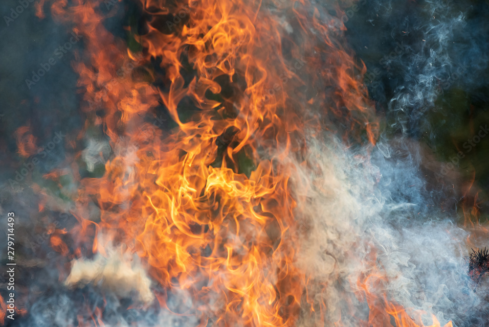 Flames and smoke, fire background Flames and smoke, fire background