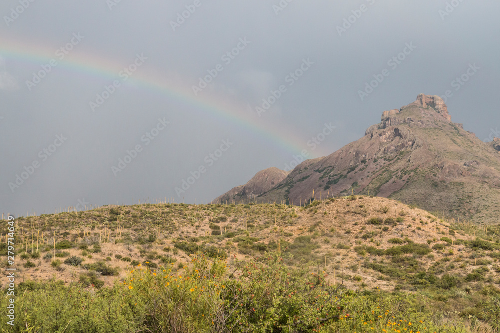 A rainbow forming over the landscape of Big Bend National Park after a thunderstorm in Texas.