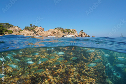 Spain rocky coast with boats and a school of fish underwater, Mediterranean sea, split view half above and below water surface, Costa Brava, Aigua Xelida, Palafrugell, Catalonia © dam